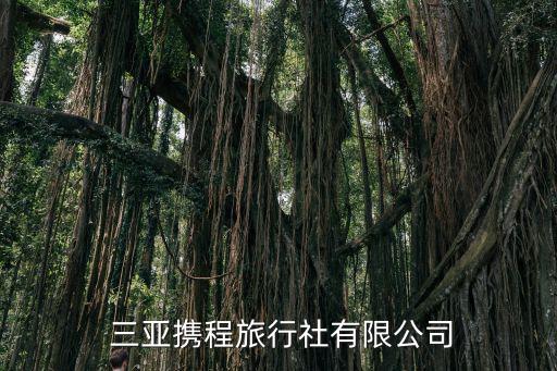  三亞攜程旅行社有限公司