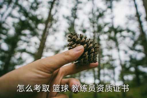 怎么考取 籃球 教練員資質(zhì)證書