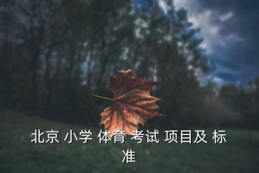 北京 小學(xué) 體育 考試 項目及 標(biāo)準(zhǔn)