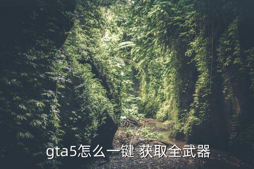 gta體育用品怎么獲取,幽靈套面膜獲取方法:先貼面膜再付錢(qián)