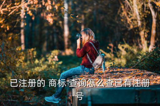 已注冊(cè)的商標(biāo)查詢,第四步:點(diǎn)擊查詢按鈕查看查詢商標(biāo)是否注冊(cè)