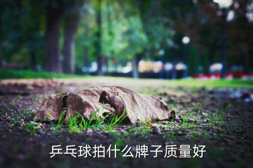 全世界乒乓球拍排名,乒乓球品牌拍攝排名出爐誰(shuí)最棒?