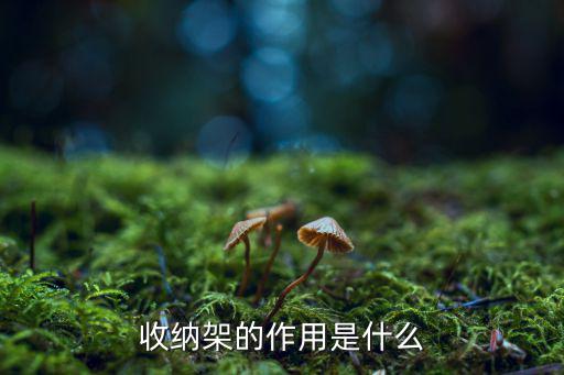 衛(wèi)生間墻上儲物架圖片,馬桶上的儲物柜可放什么東西?