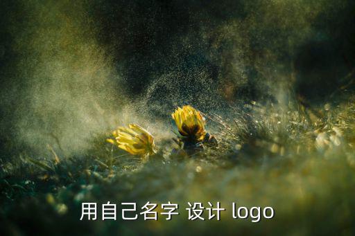 用自己名字 設(shè)計 logo