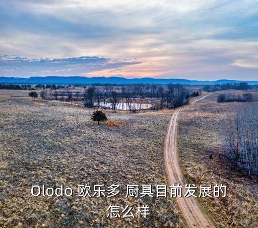 Olodo 歐樂(lè)多 廚具目前發(fā)展的怎么樣