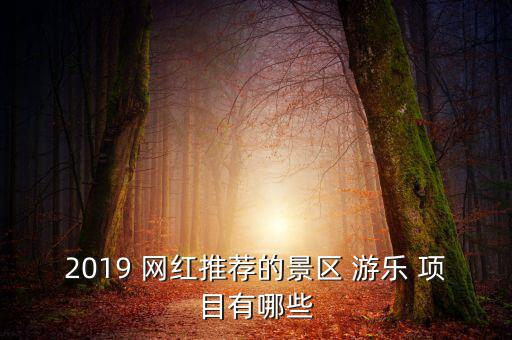 2019 網(wǎng)紅推薦的景區(qū) 游樂 項目有哪些