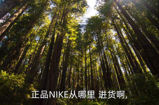 正品NIKE從哪里 進(jìn)貨啊,