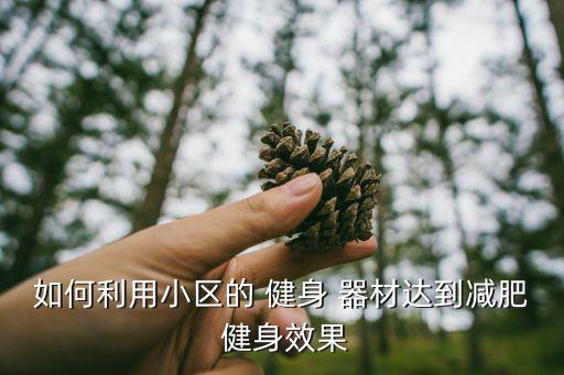 如何利用小區(qū)的 健身 器材達(dá)到減肥 健身效果