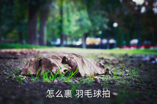 怎么裹 羽毛球拍