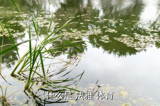 法雅體育用品哪個牌子好,北京東城區(qū)法雅體育(王府井阿迪店)