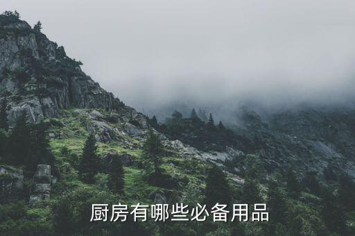 廚房用的東西圖片大全,廚房裝修四大重點(diǎn):