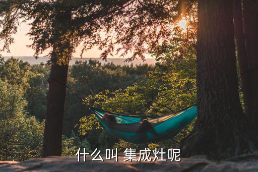 什么叫 集成灶呢