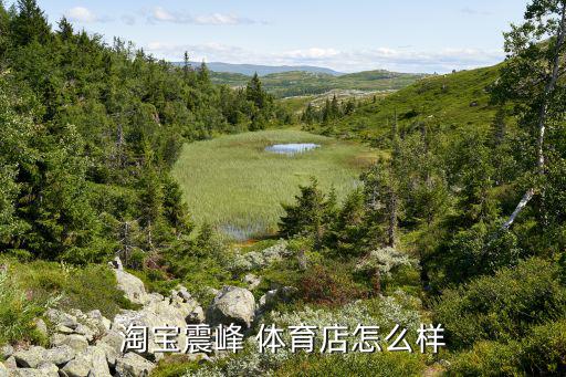 淘寶震峰 體育店怎么樣