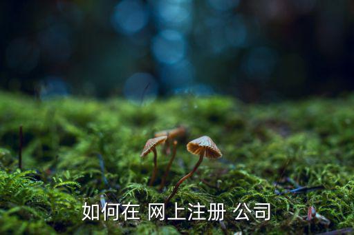 注冊公司網(wǎng)上申請入口,公司登記須遵循什么規(guī)則?