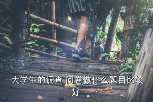  大學(xué)生的調(diào)查 問卷做什么題目比較好