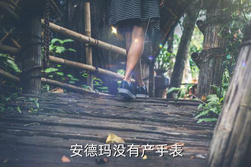  安德瑪沒有產(chǎn)手表