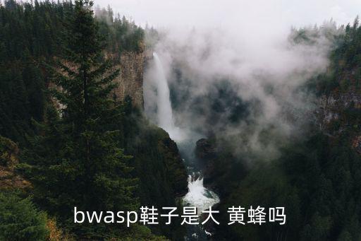 bwasp鞋子是大 黃蜂嗎