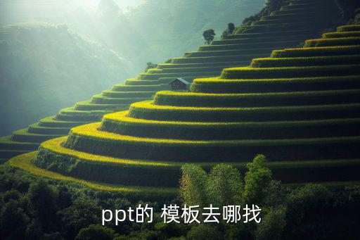  ppt的 模板去哪找