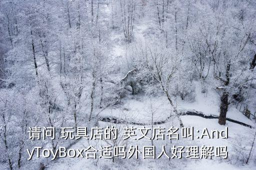 請問 玩具店的 英文店名叫:AndyToyBox合適嗎外國人好理解嗎