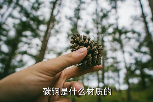  碳鋼是什么材質(zhì)的