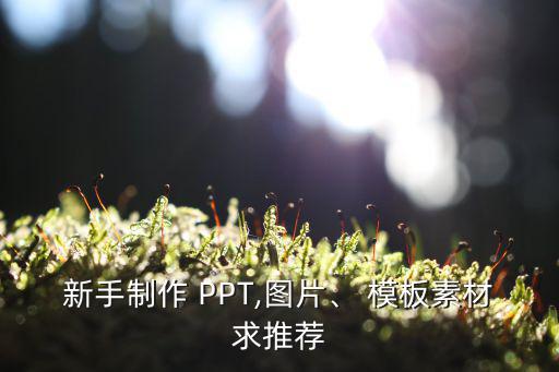 新手制作 PPT,圖片、 模板素材求推薦