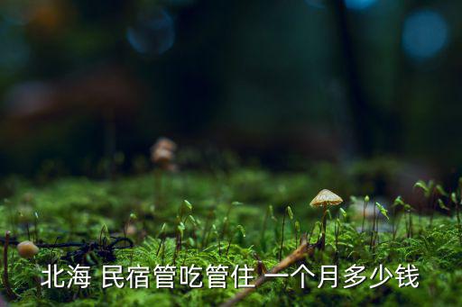 帳篷民宿一般多少錢一個月,自己動手搭帳篷露營還是網(wǎng)購?