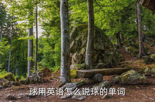 球用英語(yǔ)怎么說球的單詞