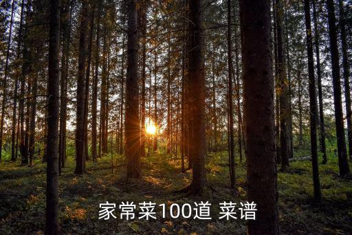  家常菜100道 菜譜