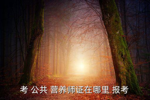 考 公共 營養(yǎng)師證在哪里 報(bào)考