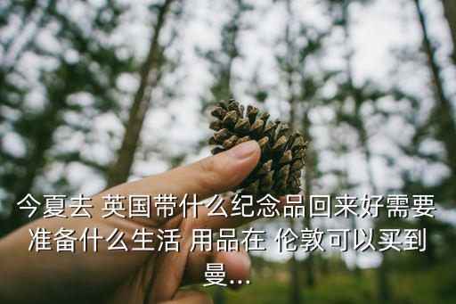 今夏去 英國帶什么紀(jì)念品回來好需要準(zhǔn)備什么生活 用品在 倫敦可以買到曼...