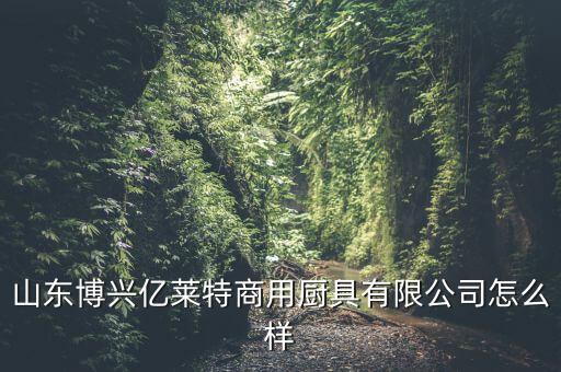 博興縣最大的廚房設(shè)備廠,山東省博興縣順達廚房設(shè)備廠