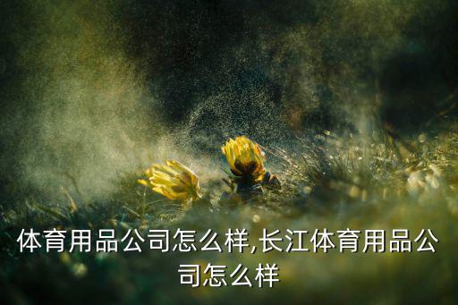 從化體育用品公司怎么樣,長(zhǎng)江體育用品公司怎么樣