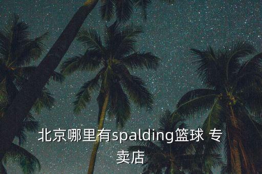 北京哪里有spalding籃球 專賣店