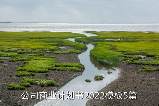 公司商業(yè)計(jì)劃書2022模板5篇