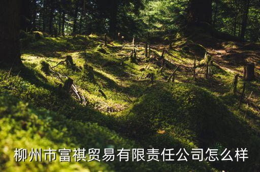  柳州市富祺貿(mào)易有限責(zé)任公司怎么樣