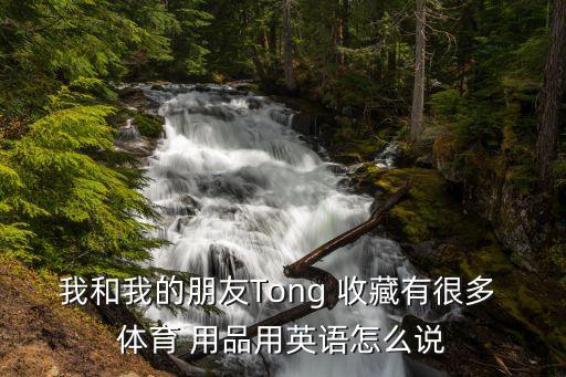 我和我的朋友Tong 收藏有很多 體育 用品用英語怎么說