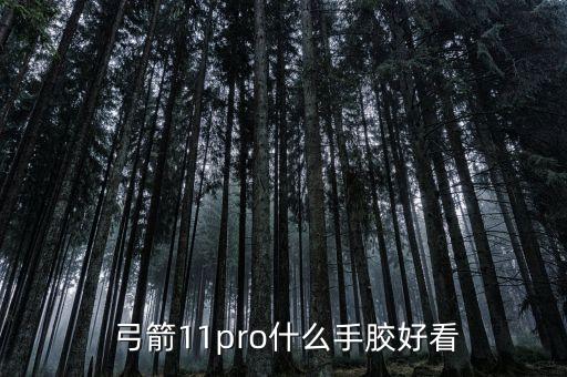  弓箭11pro什么手膠好看