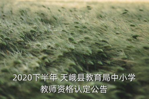 2020下半年 天峨縣教育局中小學(xué)教師資格認(rèn)定公告