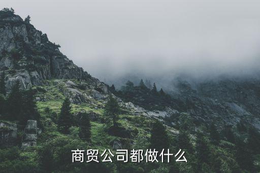 商貿(mào)公司都做什么