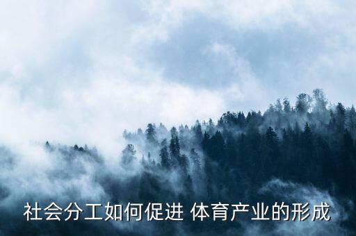 社會(huì)分工如何促進(jìn) 體育產(chǎn)業(yè)的形成