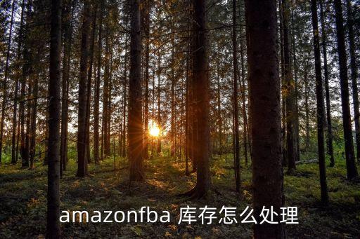 amazonfba 庫存怎么處理