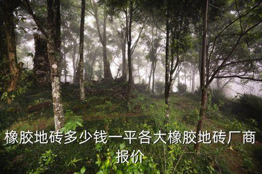 橡膠地磚多少錢一平各大橡膠地磚廠商報價