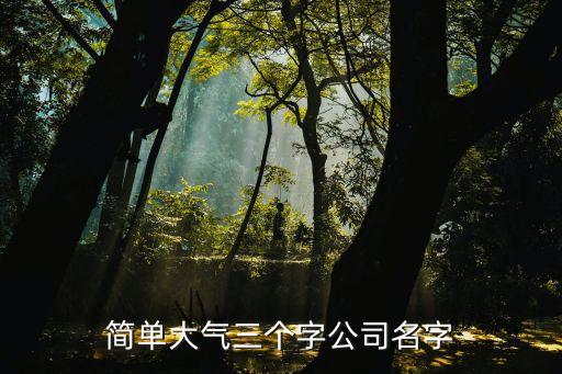 簡單大氣三個字公司名字