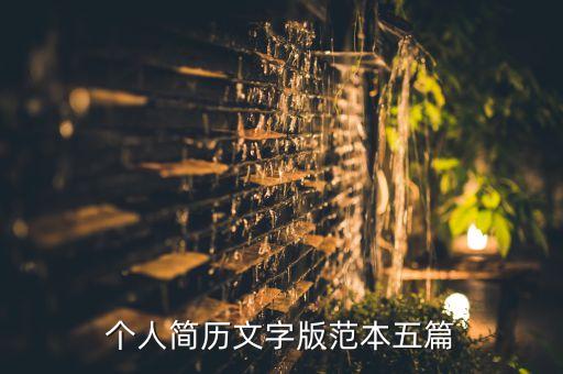 個(gè)人簡(jiǎn)歷文字版范本五篇