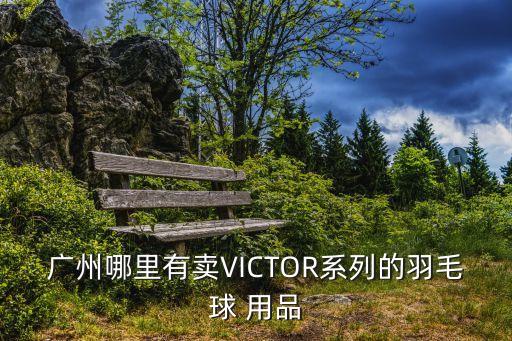 廣州哪里有賣VICTOR系列的羽毛球 用品