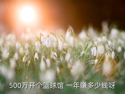 500萬開個籃球館 一年賺多少錢呀