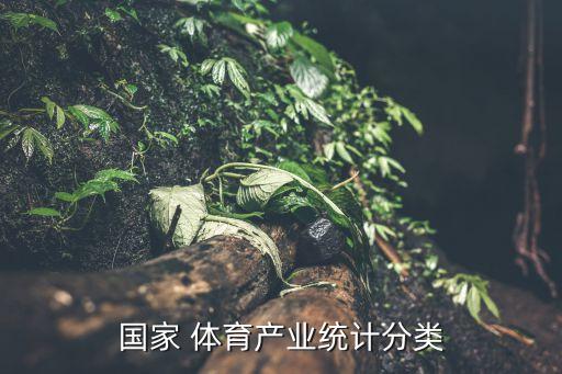 國家 體育產(chǎn)業(yè)統(tǒng)計(jì)分類