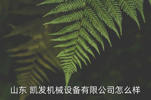 山東 凱發(fā)機械設(shè)備有限公司怎么樣