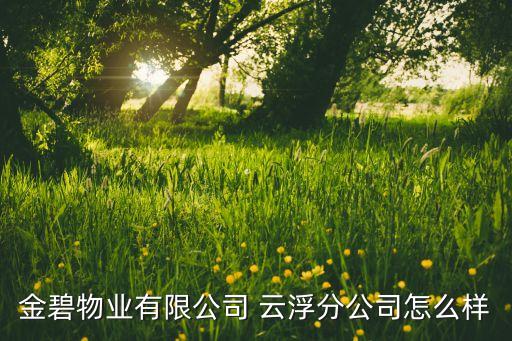 金碧物業(yè)有限公司 云浮分公司怎么樣