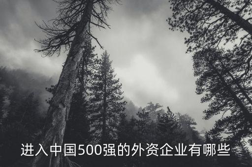 進入中國500強的外資企業(yè)有哪些